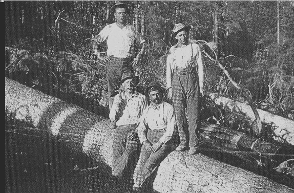 1905 - Nevada USA) - Un gruppo di boscaioli di origini lunigianesi