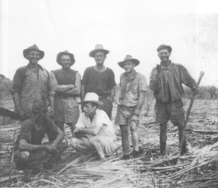 1920 - Australia - Tagliatori di canna originari dell'Isola d'Elba
